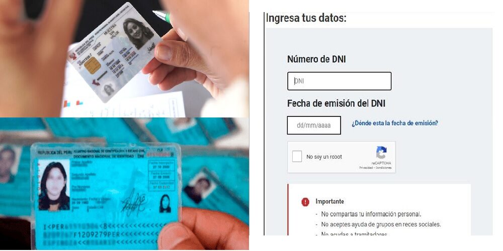 dni