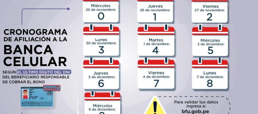 nuevo cronograma