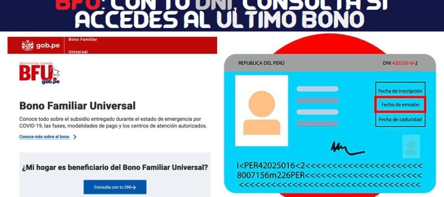 BFU segundo bono cono dni
