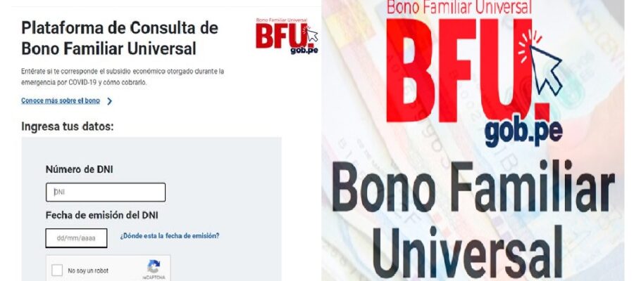 bfu consultar bono