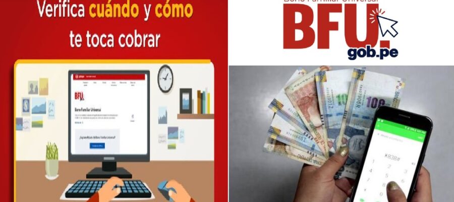bfu segundo bono familiar universal 760