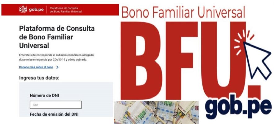 bfu fase 4 y 5