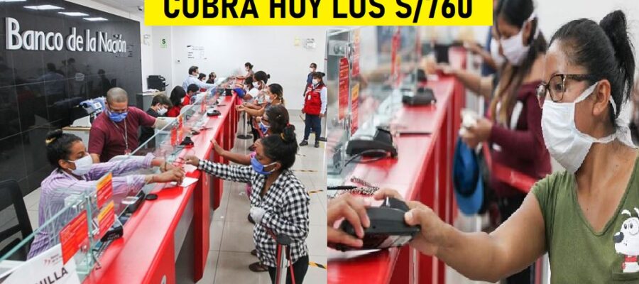 COBRA HOY