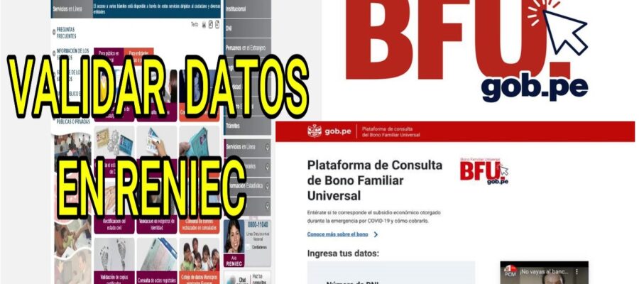 BFU VALIDAR DATOS EN RENEIC