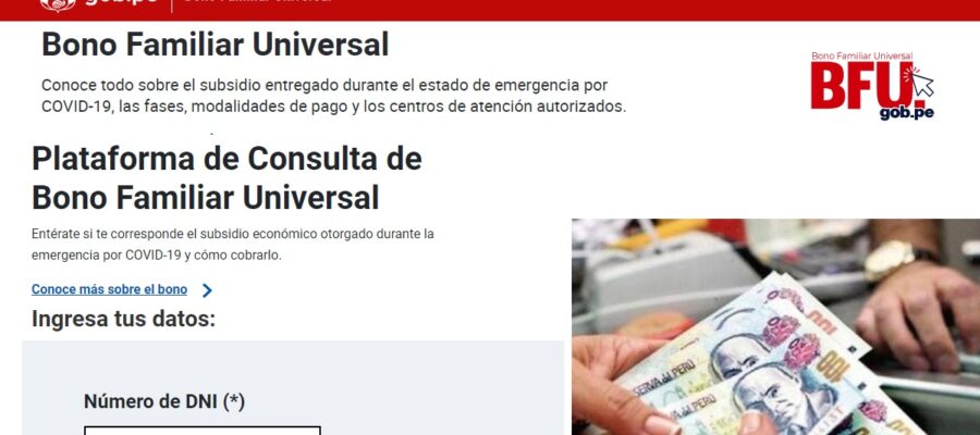 consultar bono