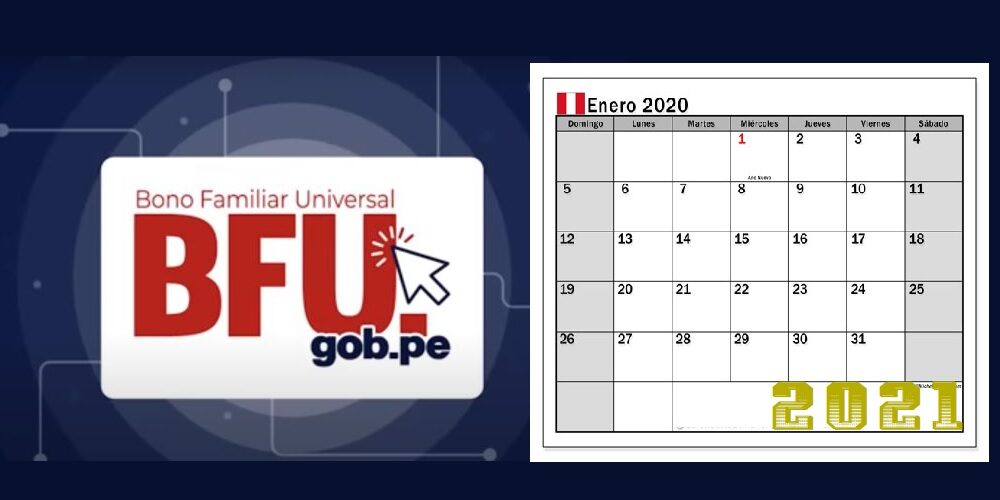 bfu enero 2021