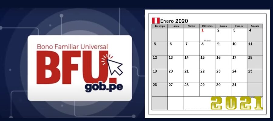 bfu enero 2021