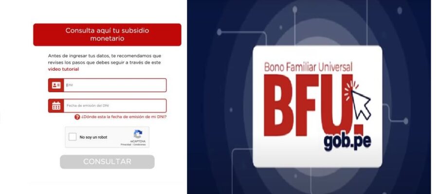 bfu