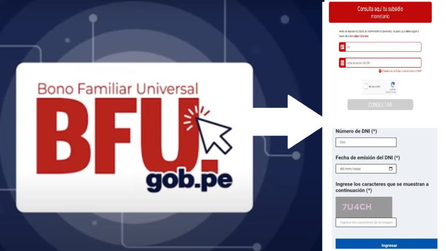 bfu bono universal 2021