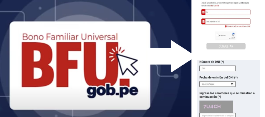 bfu bono universal 2021