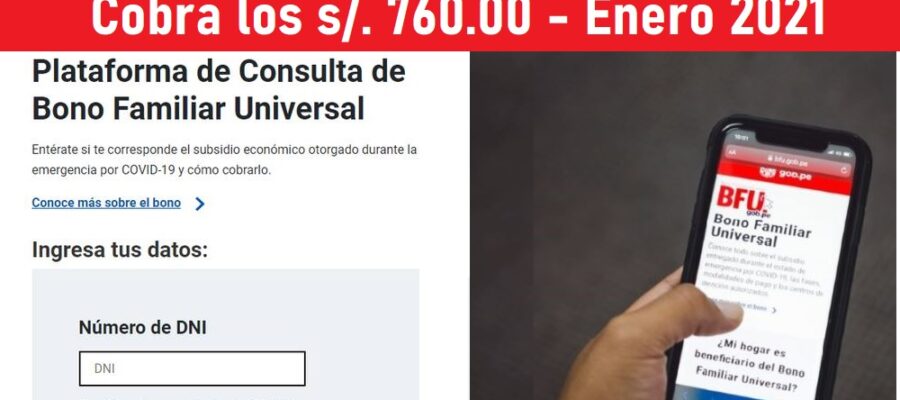 bfu bono universal 2021