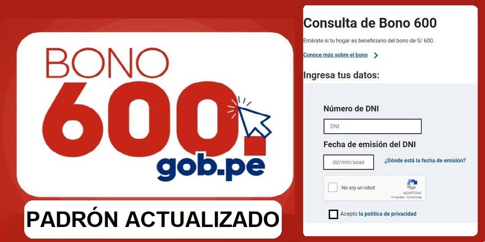PADRÓN ACTUALIZADO