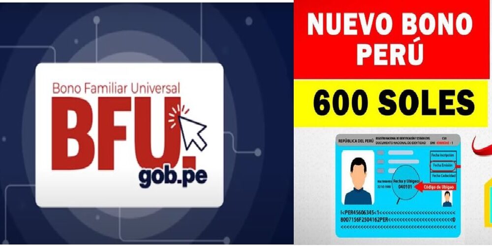 bfu y bono 600