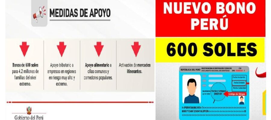 bono 600 soles cosnultar