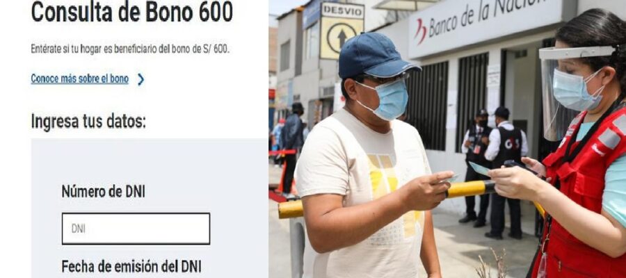 bono 600 consulta aquí