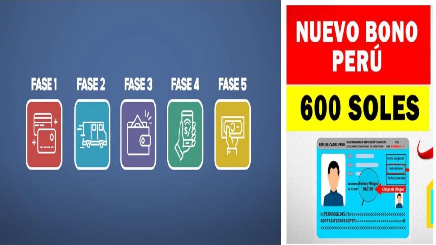 fases de pago bono 600