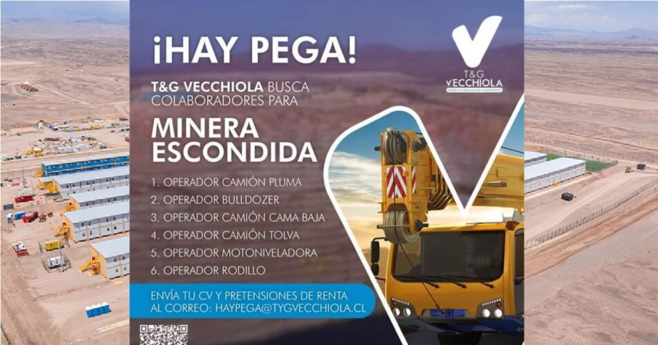 VECCHIOLA Esta en busca de operadores