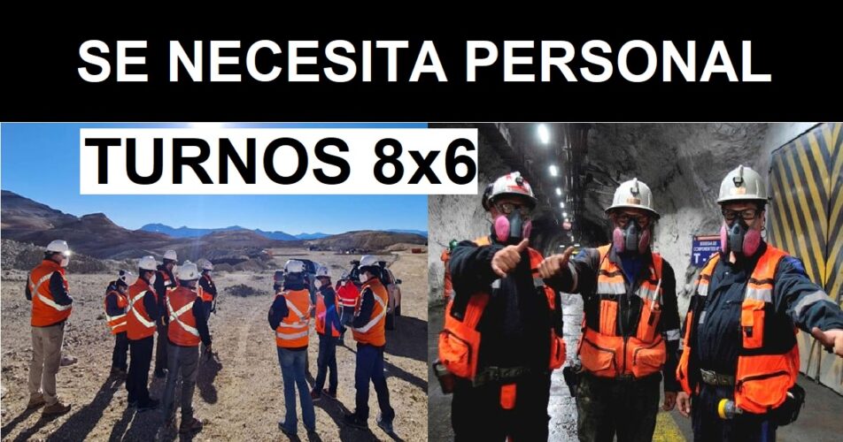 TURNOS 8x6