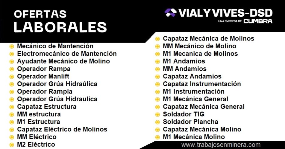 Pega en Vial y Vives - DSD