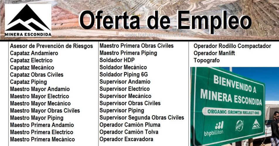 proyecto en Minera Escondida