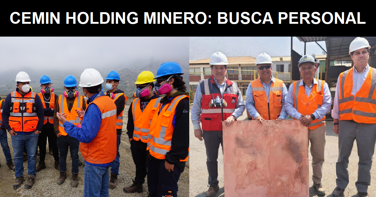 CEMIN HOLDING MINERO