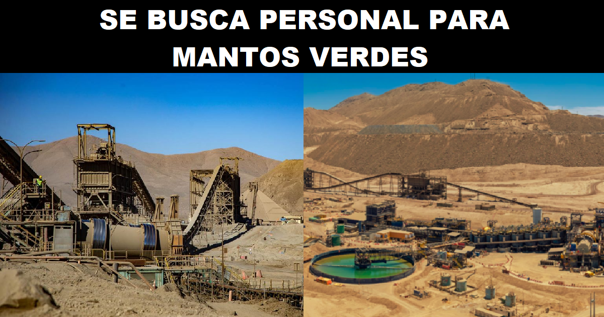 SE BUSCA PERSONAL PARA MANTOS VERDES
