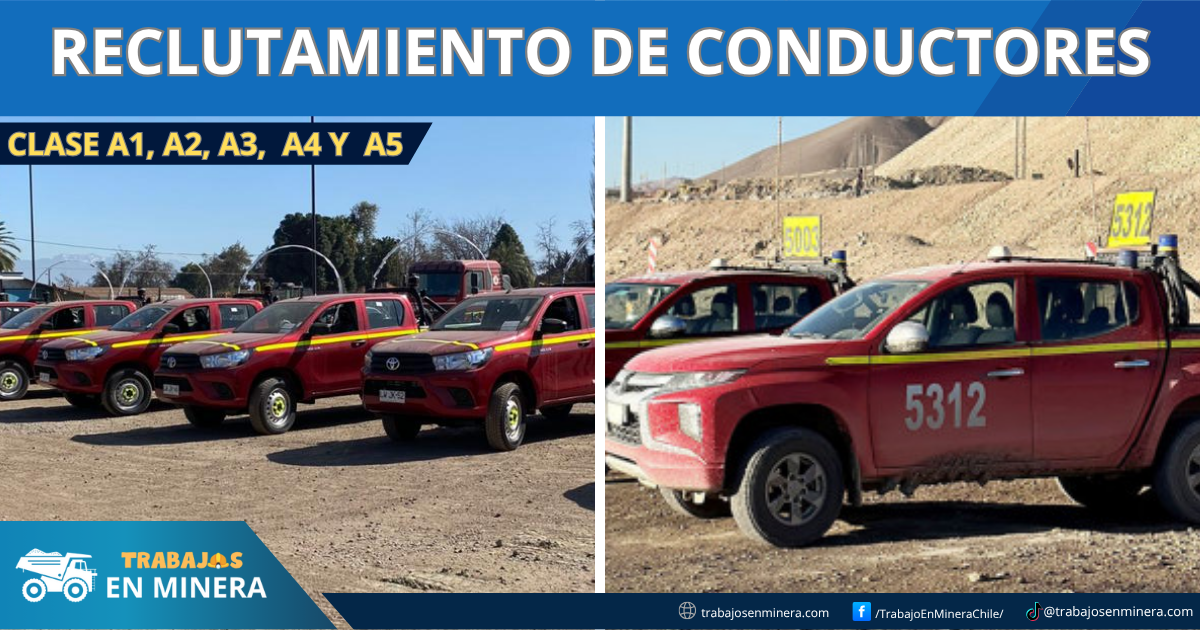 Oportunidades laborales para Conductores