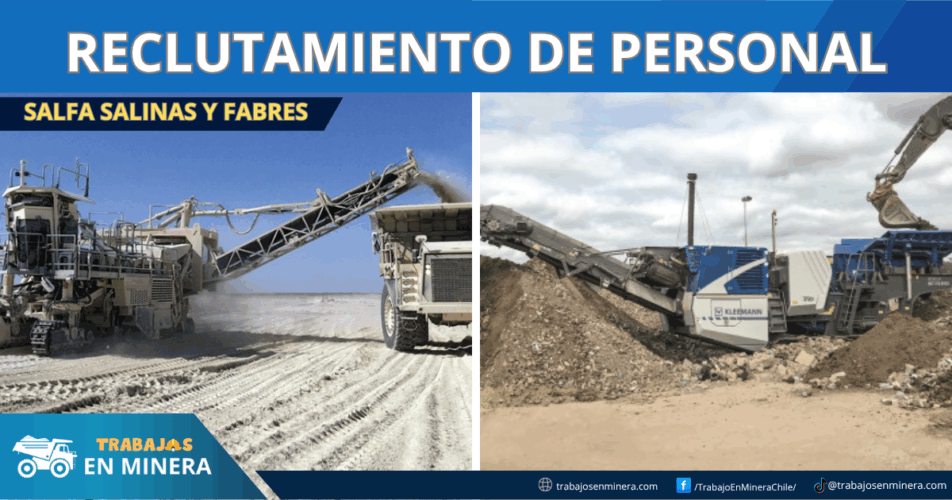 Salfa Salinas y Fabres