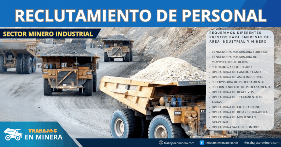Sector Minero Industrial