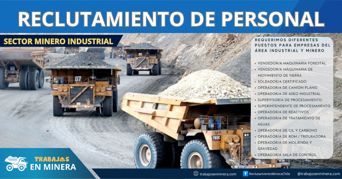 Sector Minero Industrial