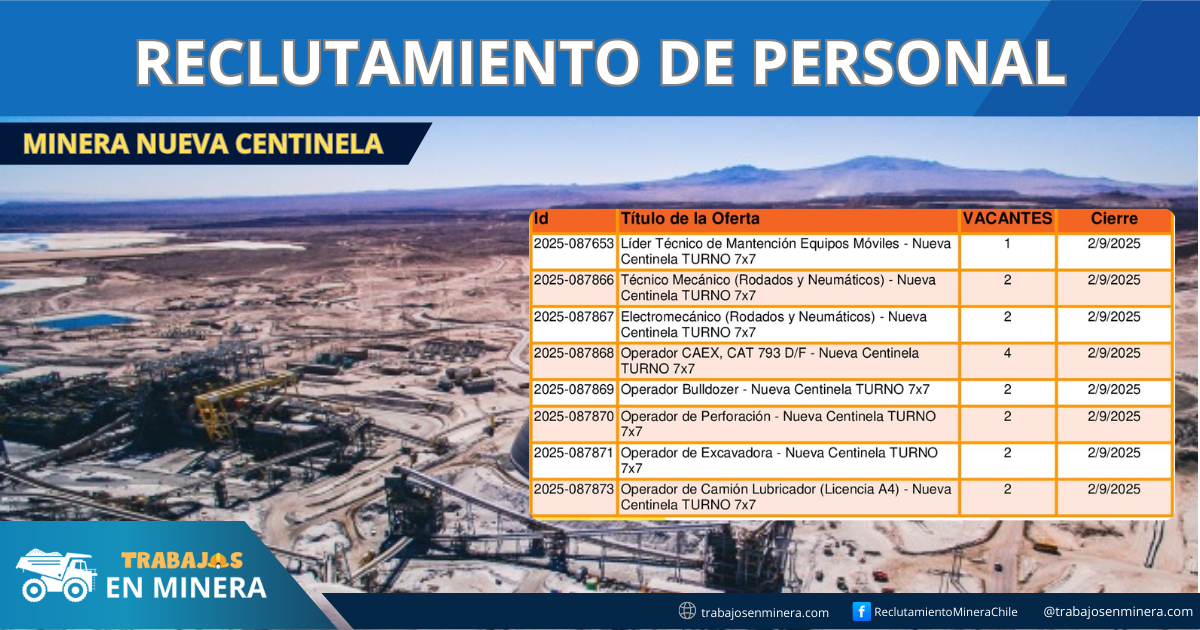 MINERA NUEVA CENTINELA