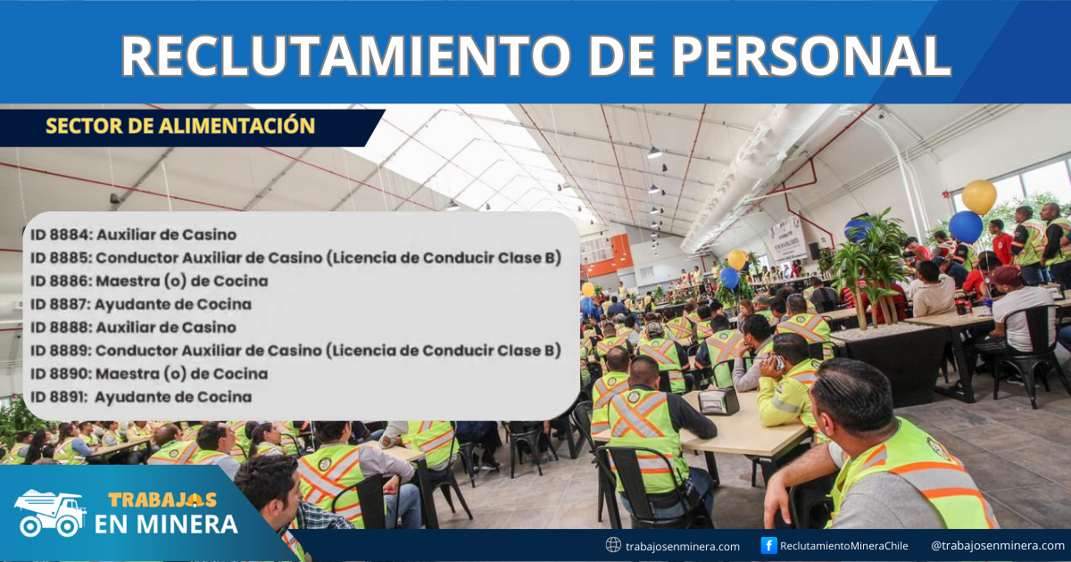 Sector de Alimentación