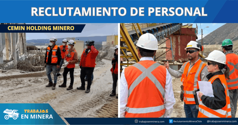 CEMIN Holding Minero
