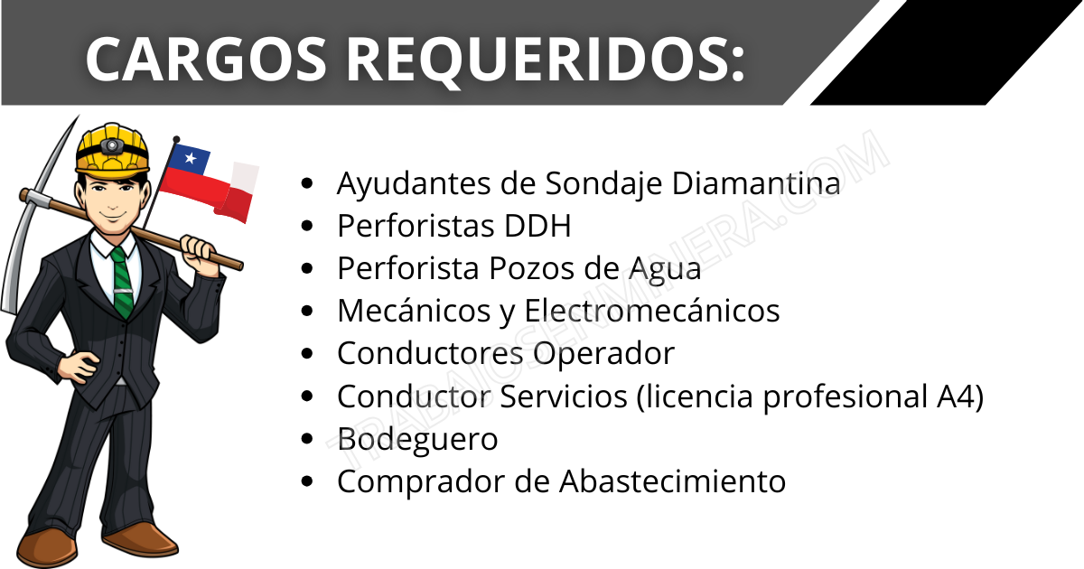 Puestos de Trabajo Geotec