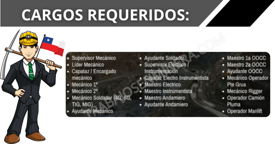 personal para NEXXO