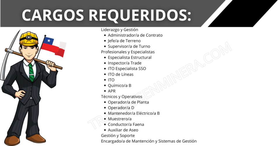 GRUPO GRAFTON
