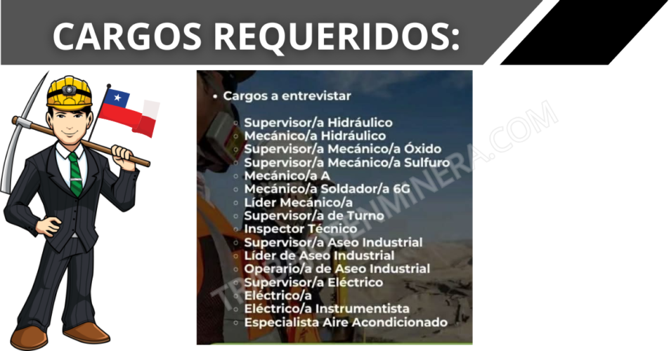 IQUIQUE ESPECIAL RADOMIRO TOMIC