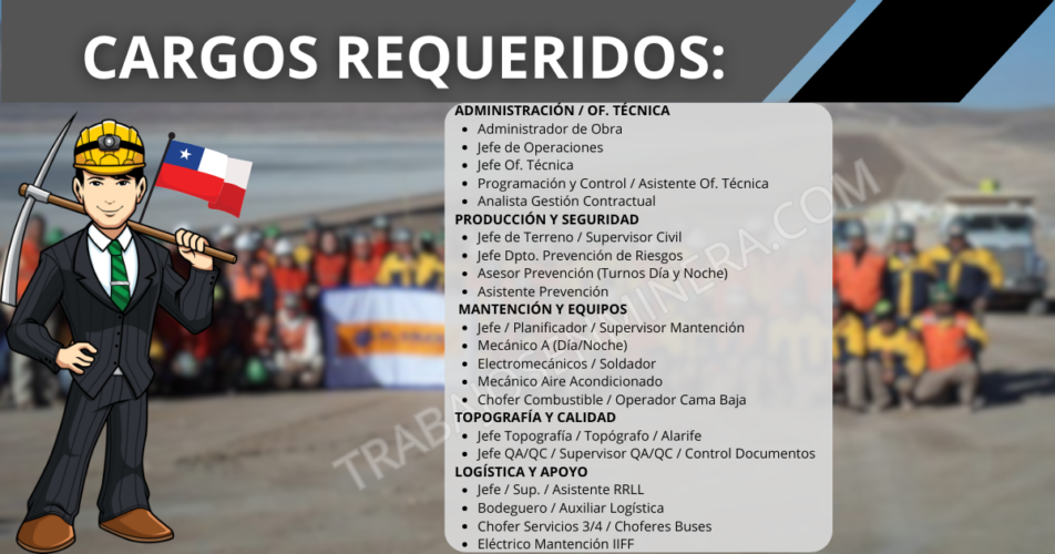 PROYECTO ZALDÍVAR El Sauce
