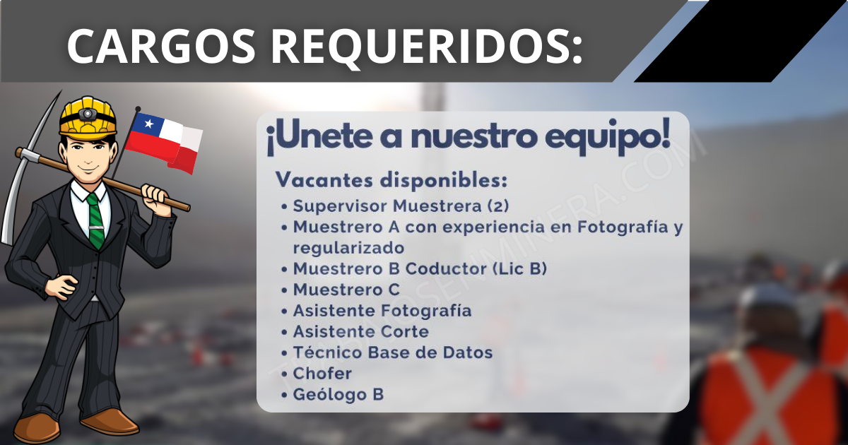 Reclutamiento de personal para IMG Ltda