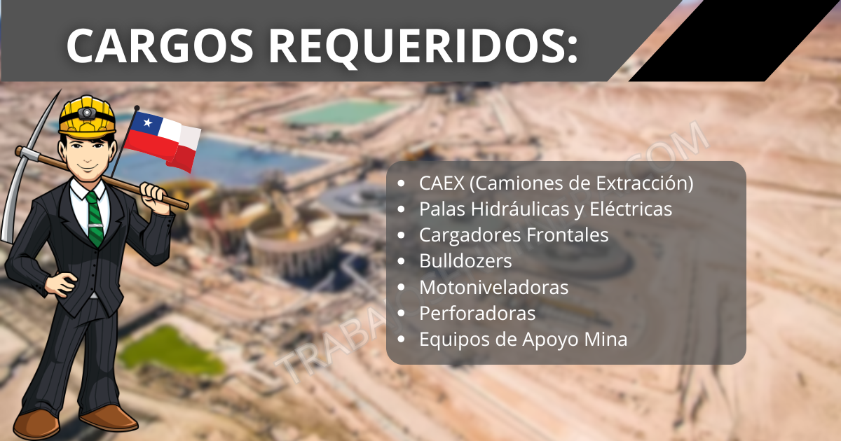 Reclutamiento para MANEX EST