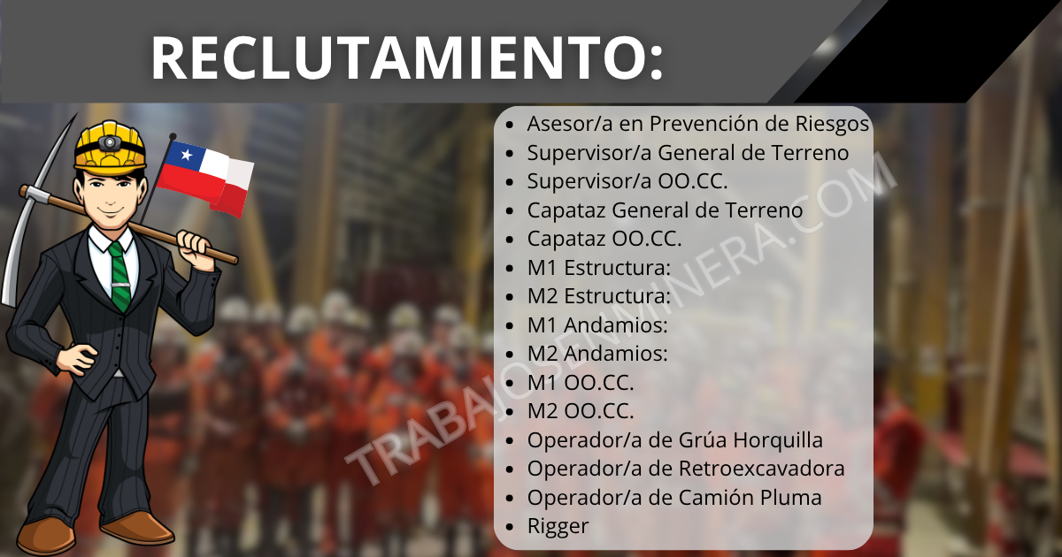 Las personas interesadas en participar en este proceso de reclutamiento de NEXXO