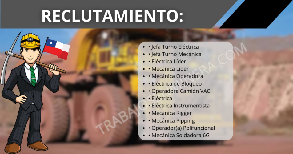 PERSONAL PARA INNOMOTICS