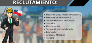 personal para VECCHIOLA