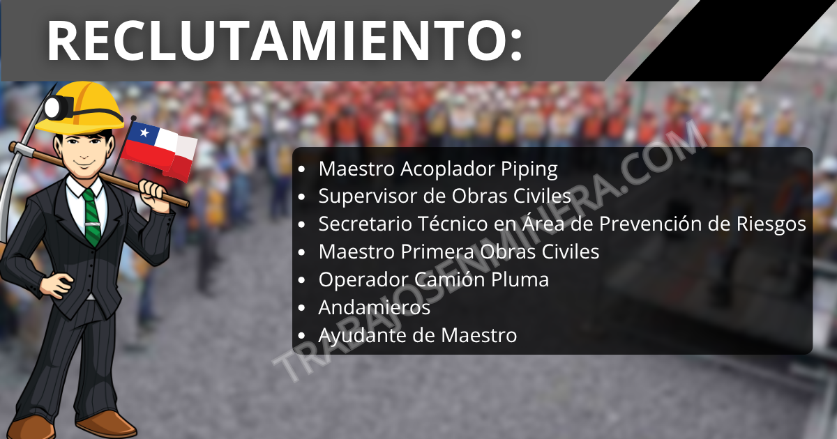 BEAGLE Servicios de Ingeniería y Construcción
