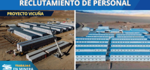 Proyecto Vicuña