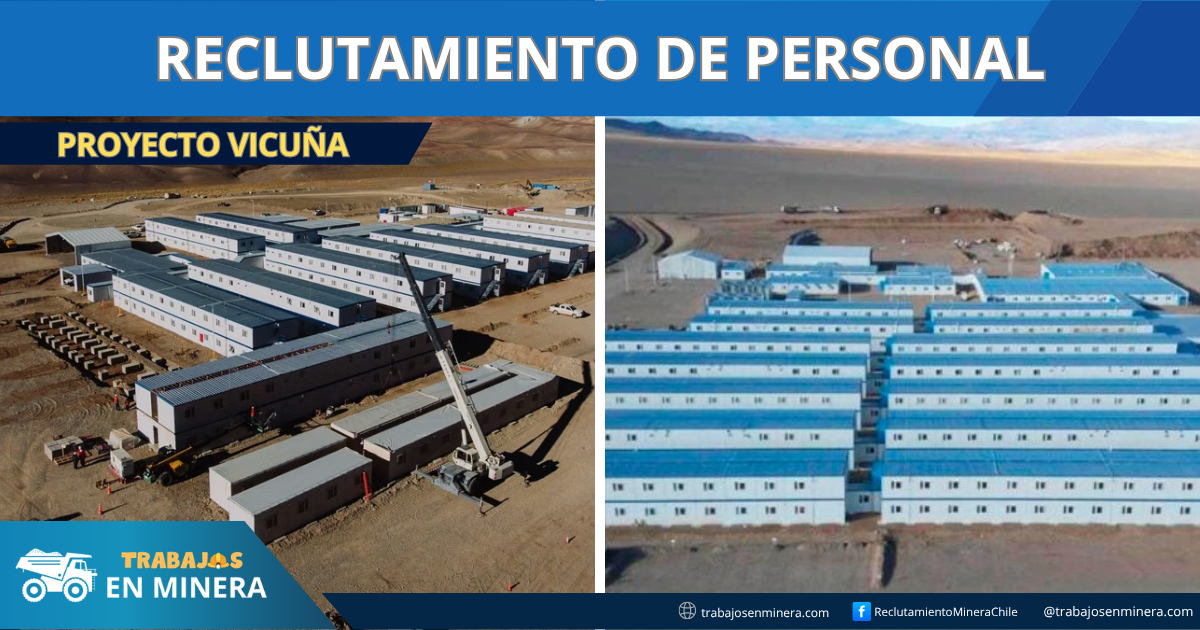 Proyecto Vicuña