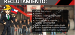 Reclutamiento masivo REMA TIP TOP