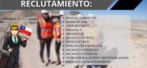 personal para Oficina Municipal Sence / Veltis