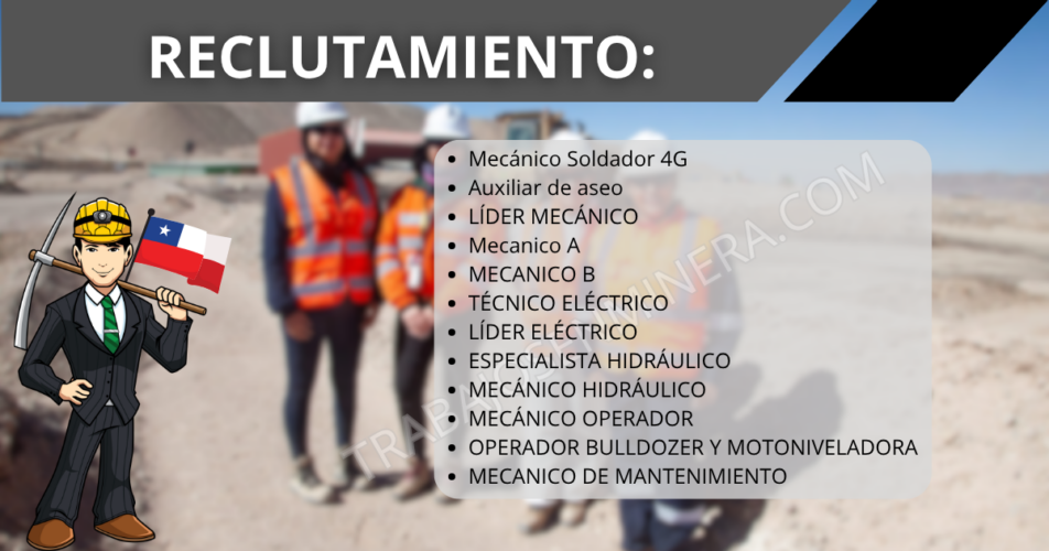personal para Oficina Municipal Sence / Veltis