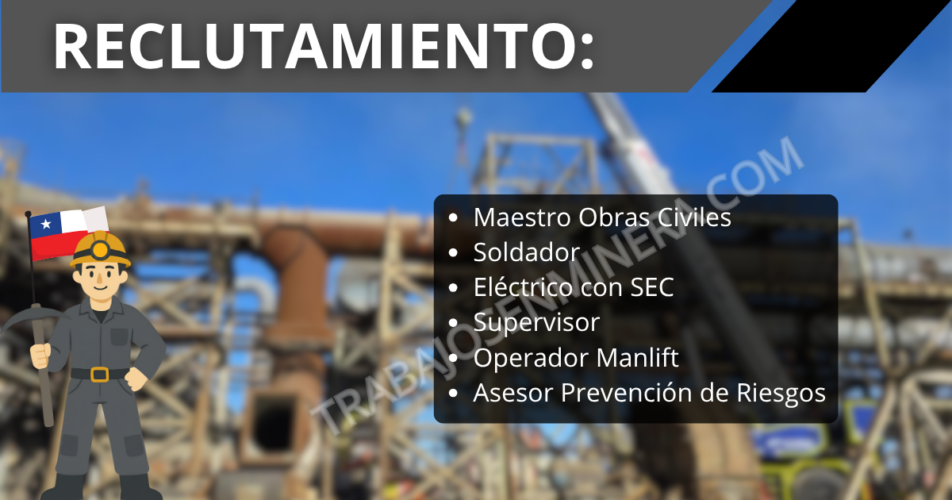 EFFIZIENZ abre reclutamiento